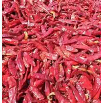 Stemless Red Chilli