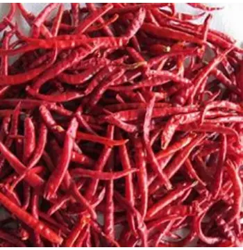 Organic Stemless Red Chilli