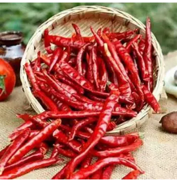 Fresh Stemless Red Chilli