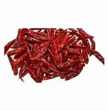  Natural Stemless Red Chilli