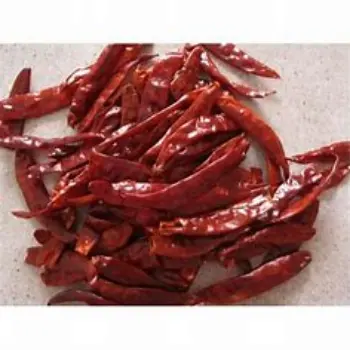 Fresh Stemless Red Chilli