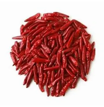 Fresh Stemless Red Chilli