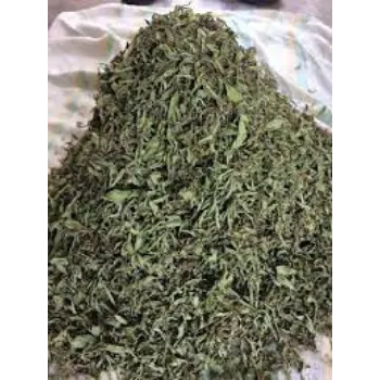 Dried Stevia Leaves