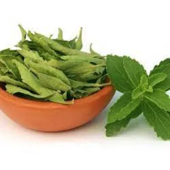 Natural Dried Stevia Leaves