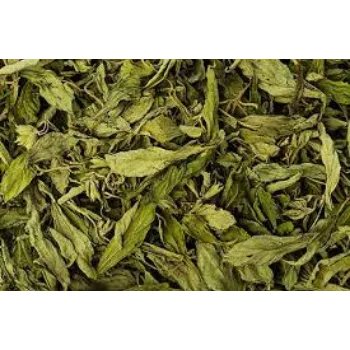 Natural Stevia Leaves
