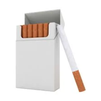 Natural Stylish Cigarette Holder