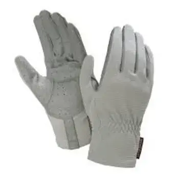 Fashionable Grey Gloves
