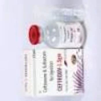 Sulbactam Sodium Injection