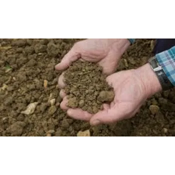 Sulfur Fertilizers