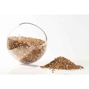 Ammonium Sulfate