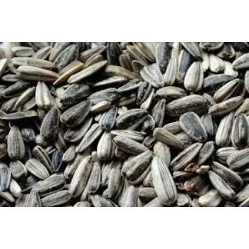 Natural Sunflower Seed