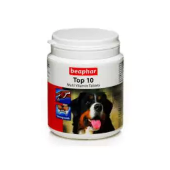 Multivitamin Supplement