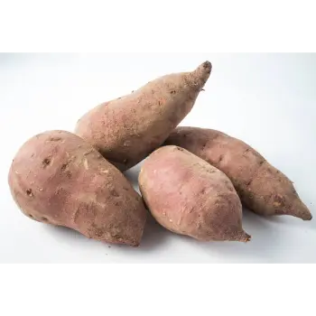 Sweet Potato
