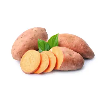 Sweet Potato