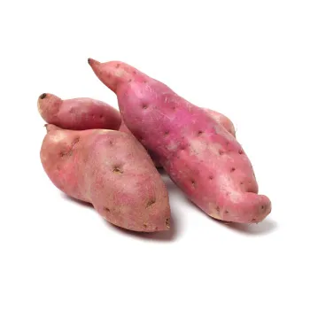 Fresh Sweet Potato