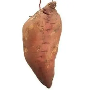 Natural Sweet Potato