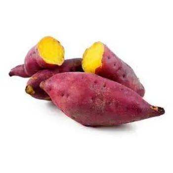 Common Sweet Potato