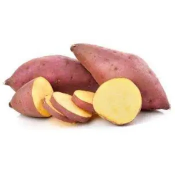 Common Sweet Potato