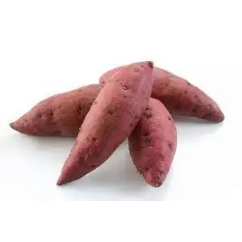 Organic Sweet Potato