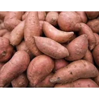 Natural Sweet Potato