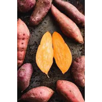 Common Sweet Potato