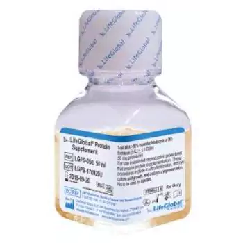 Protein Tablet Supplier