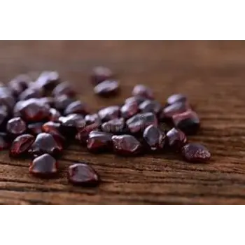 Tamarind Seeds