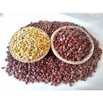 Natural Tamarind Seeds