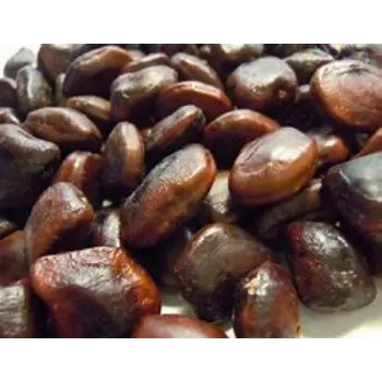Tamarind Seeds