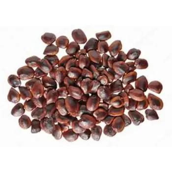 Tamarind Seeds