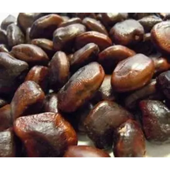 Tamarind Seeds