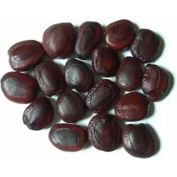 Tamarind Seeds
