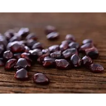 Organic Tamarind Seeds