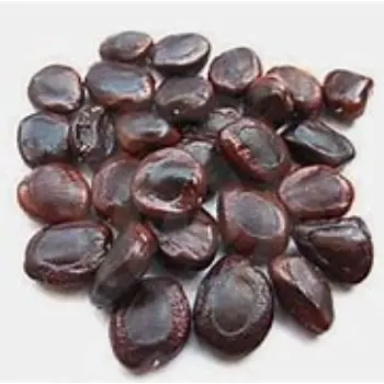 Tamarind Seeds