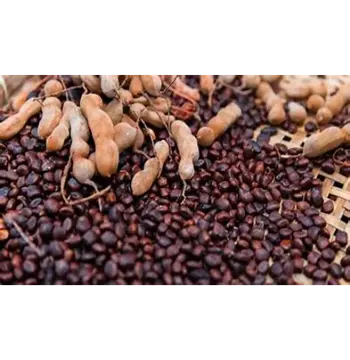  Natural Tamarind Seeds
