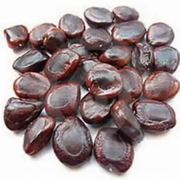 Tamarind Seeds