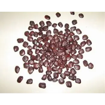 Tamarind Seeds