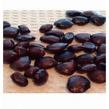 Tamarind Seeds