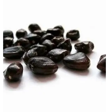Fresh Tamarind Seeds