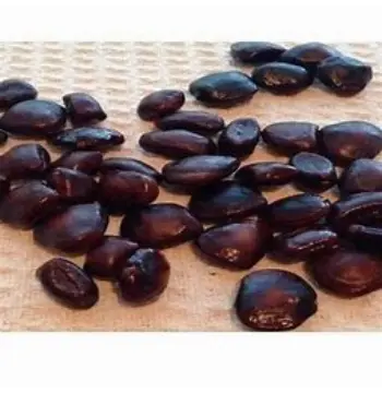 Organic Tamarind Seeds