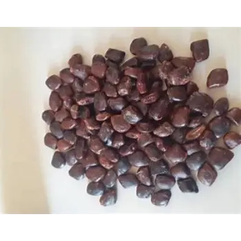 Tamarind Seeds