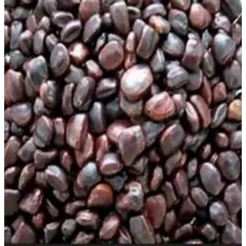 Tamarind Seeds