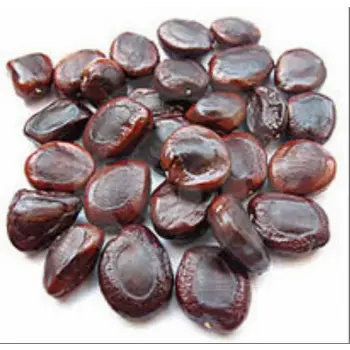 Fresh Tamarind Seeds