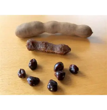 Natural Tamarind Seeds