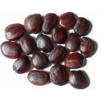 Tamarind Seeds
