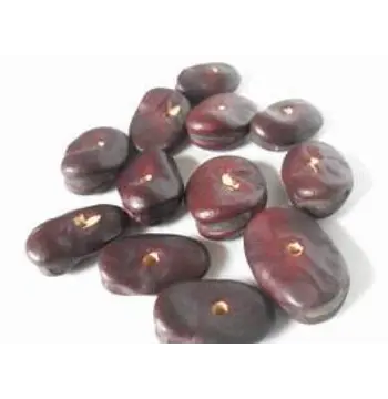 Fresh Tamarind Seeds