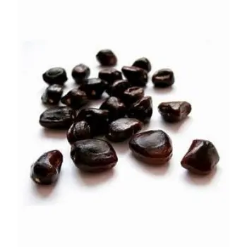 Tamarind Seeds