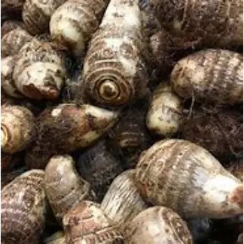 Taro Root