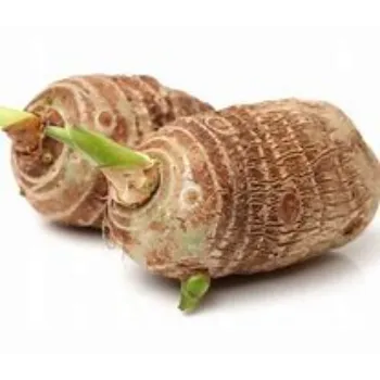 Taro Root
