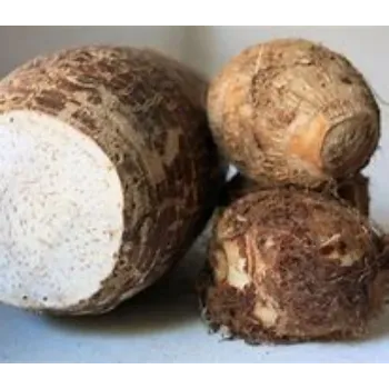 Natural Taro Root